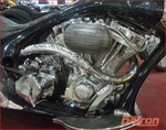 ���� ���� 2011