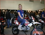 ����� ���� 2012 (������, ������ 2012 �.)