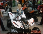 ���� ���� 2011