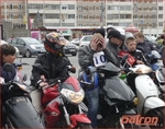 ��������� (������, ���� 2011)
