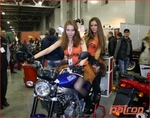 ����� ���� 2012 (������, ������ 2012 �.)